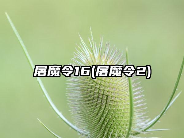 屠魔令16(屠魔令2)