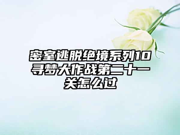 密室逃脱绝境系列10寻梦大作战第二十一关怎么过