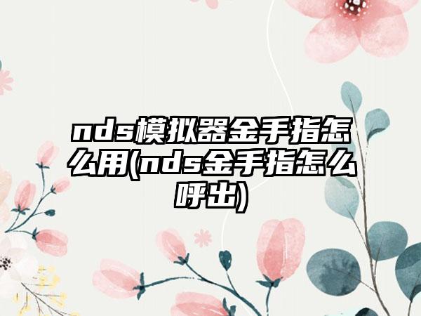 nds模拟器金手指怎么用(nds金手指怎么呼出)