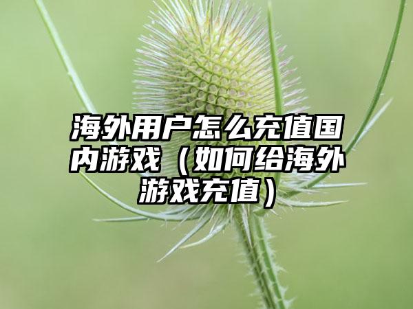 海外用户怎么充值国内游戏（如何给海外游戏充值）