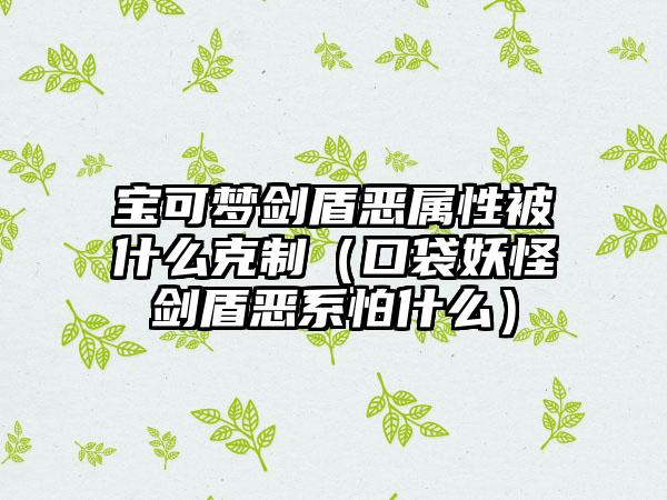 宝可梦剑盾恶属性被什么克制（口袋妖怪剑盾恶系怕什么）
