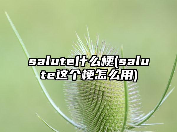 salute什么梗(salute这个梗怎么用)