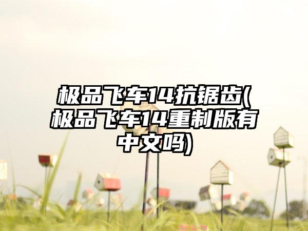 极品飞车14抗锯齿(极品飞车14重制版有中文吗)