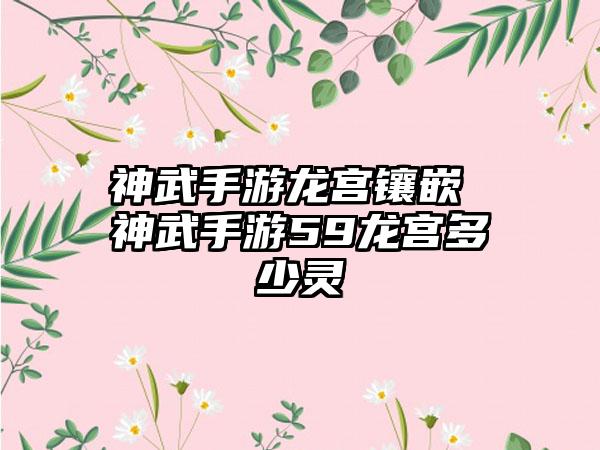 神武手游龙宫镶嵌 神武手游59龙宫多少灵