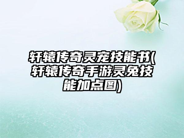 轩辕传奇灵宠技能书(轩辕传奇手游灵兔技能加点图)