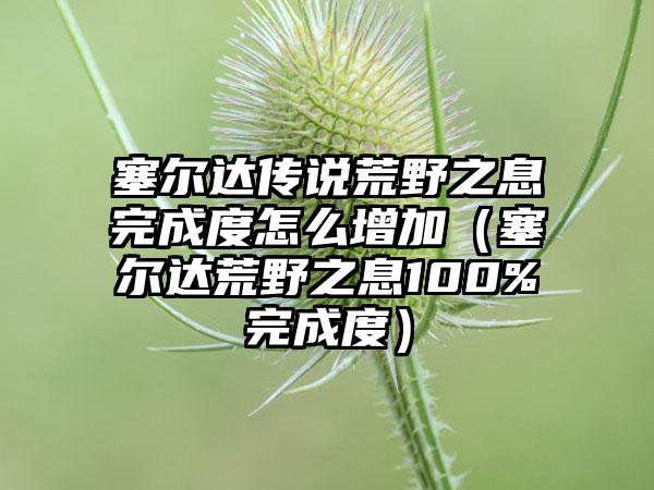 塞尔达传说荒野之息完成度怎么增加（塞尔达荒野之息100%完成度）