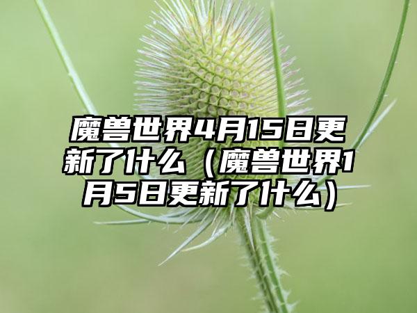 魔兽世界4月15日更新了什么（魔兽世界1月5日更新了什么）