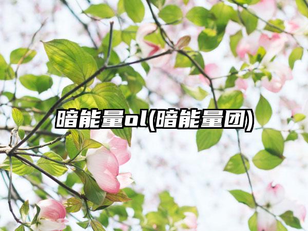 暗能量ol(暗能量团)