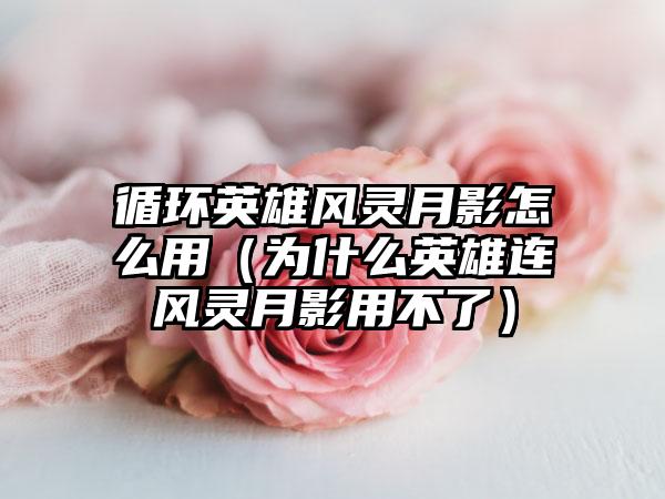 循环英雄风灵月影怎么用（为什么英雄连风灵月影用不了）