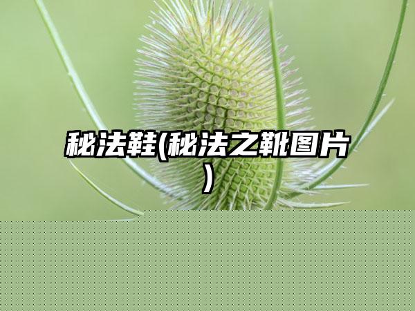 单机3D手机游戏