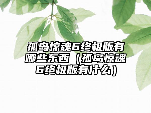 孤岛惊魂6终极版有哪些东西（孤岛惊魂6终极版有什么）
