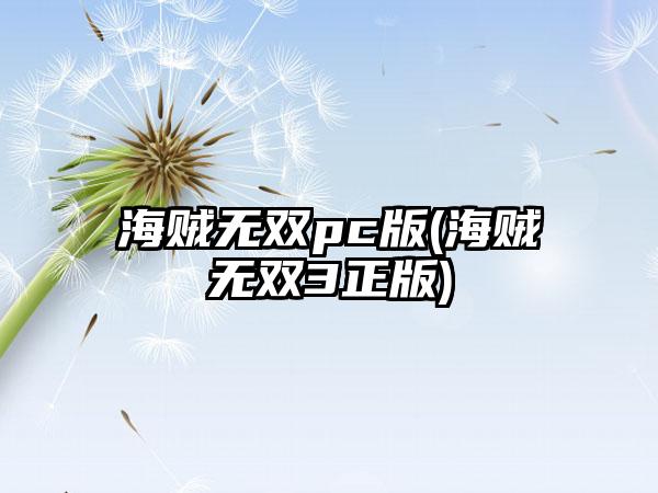 海贼无双pc版(海贼无双3正版)