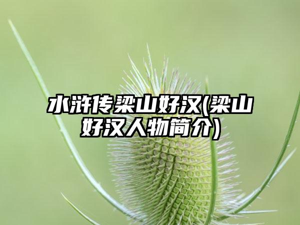 水浒传梁山好汉(梁山好汉人物简介)