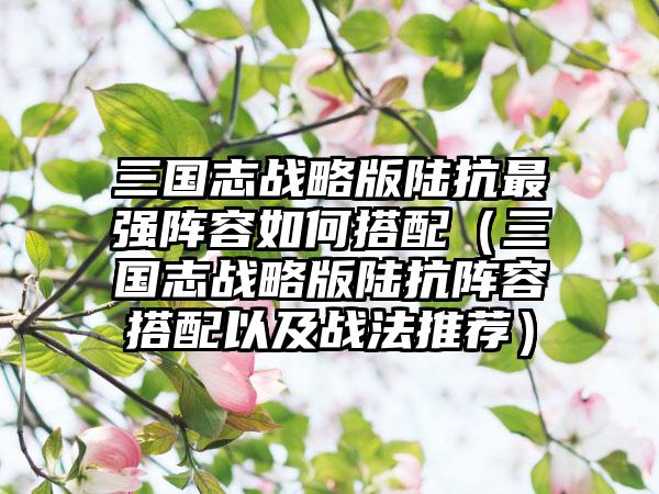 三国志战略版陆抗最强阵容如何搭配（三国志战略版陆抗阵容搭配以及战法推荐）
