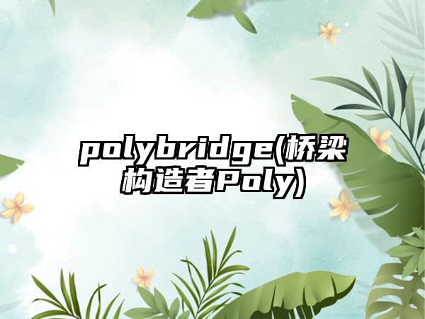 polybridge(桥梁构造者Poly)
