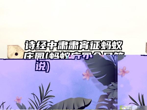 永恒之疑(永恒之井小说)