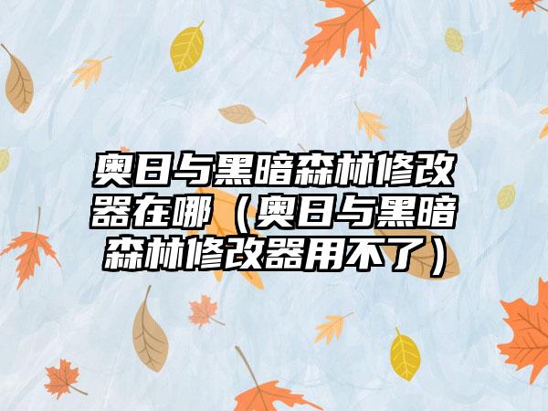 奥日与黑暗森林修改器在哪（奥日与黑暗森林修改器用不了）