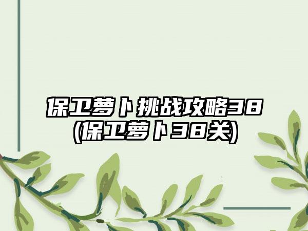 保卫萝卜挑战攻略38(保卫萝卜38关)