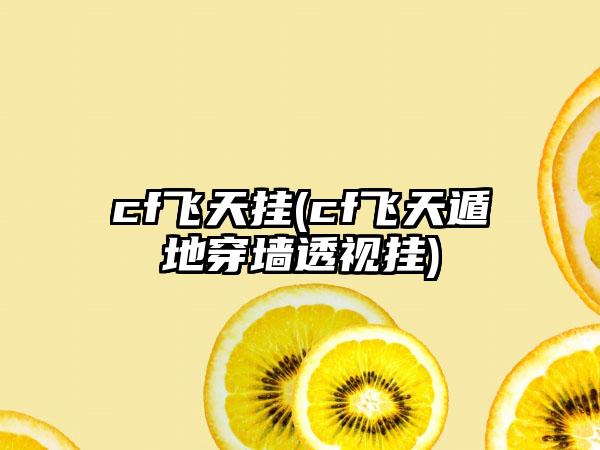 cf飞天挂(cf飞天遁地穿墙透视挂)