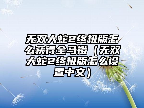无双大蛇2终极版怎么获得全马镫（无双大蛇2终极版怎么设置中文）