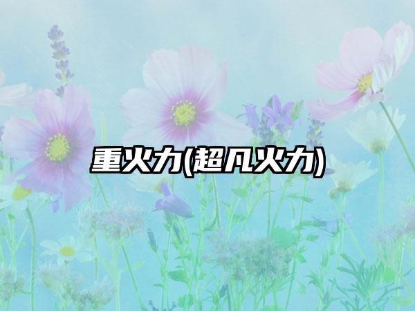 重火力(超凡火力)