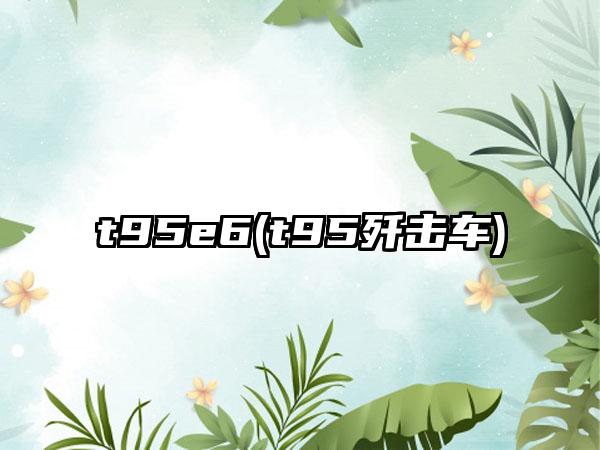 t95e6(t95歼击车)