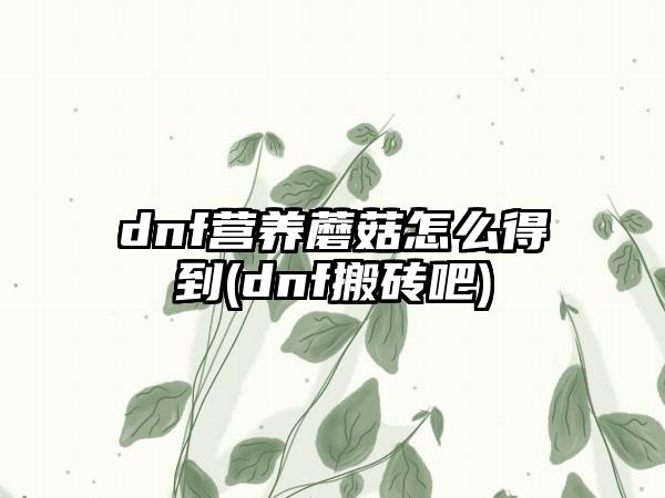 dnf营养蘑菇怎么得到(dnf搬砖吧)