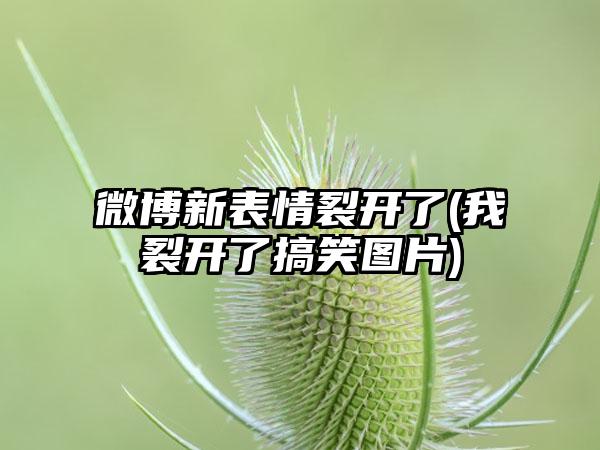 微博新表情裂开了(我裂开了搞笑图片)
