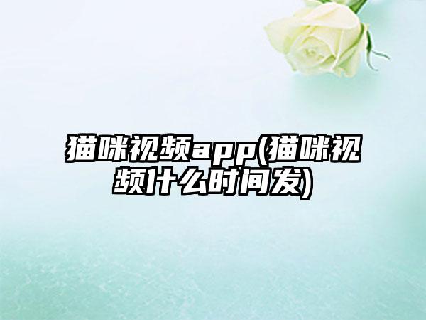 猫咪视频app(猫咪视频什么时间发)