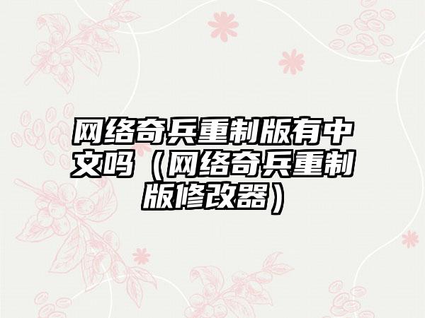 网络奇兵重制版有中文吗（网络奇兵重制版修改器）