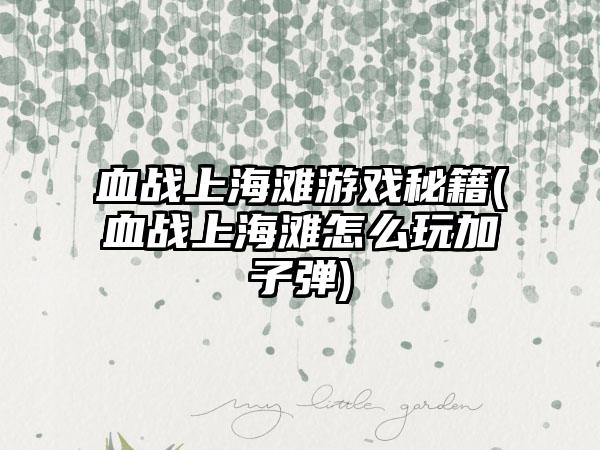 血战上海滩游戏秘籍(血战上海滩怎么玩加子弹)