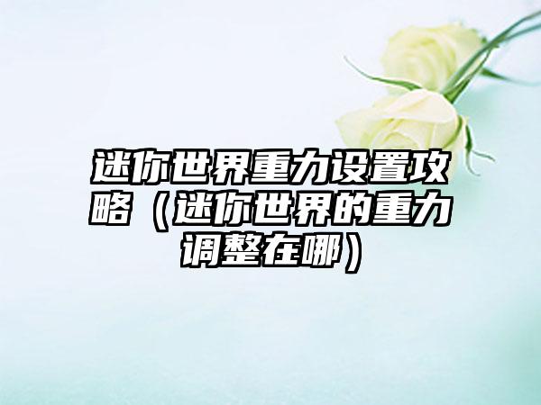 迷你世界重力设置攻略（迷你世界的重力调整在哪）
