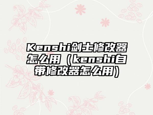 Kenshi剑士修改器怎么用（kenshi自带修改器怎么用）
