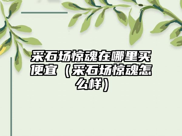 采石场惊魂在哪里买便宜（采石场惊魂怎么样）