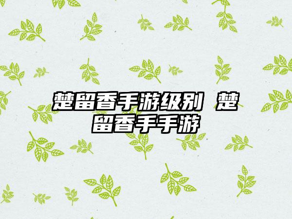 楚留香手游级别 楚留香手手游