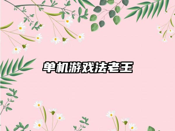 单机游戏法老王