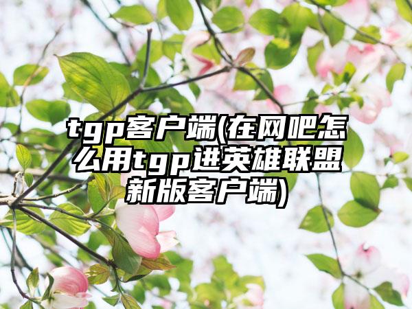 tgp客户端(在网吧怎么用tgp进英雄联盟新版客户端)