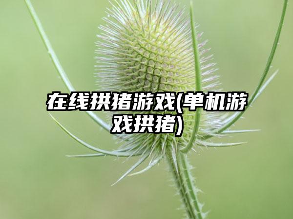 在线拱猪游戏(单机游戏拱猪)