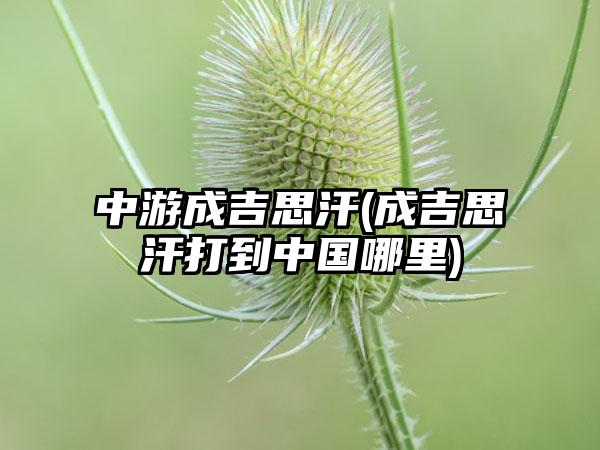中游成吉思汗(成吉思汗打到中国哪里)