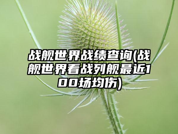 战舰世界战绩查询(战舰世界看战列舰最近100场均伤)