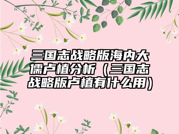 三国志战略版海内大儒卢植分析（三国志战略版卢植有什么用）