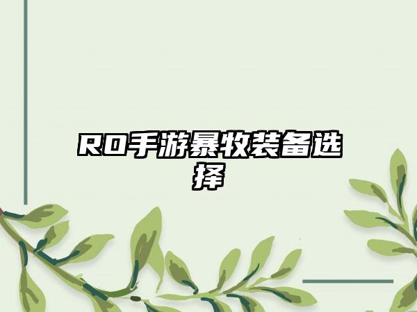 RO手游暴牧装备选择