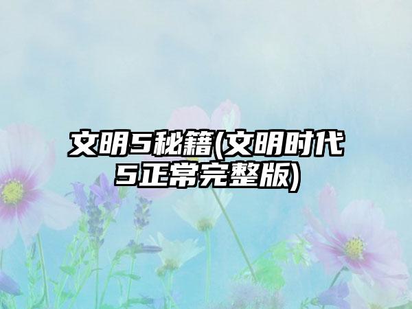 文明5秘籍(文明时代5正常完整版)