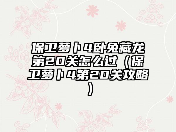 保卫萝卜4卧兔藏龙第20关怎么过（保卫萝卜4第20关攻略）