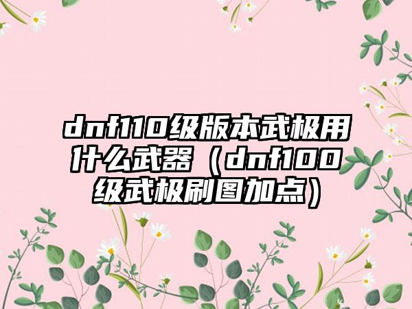 dnf110级版本武极用什么武器（dnf100级武极刷图加点）