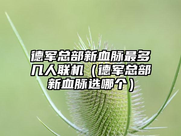 德军总部新血脉最多几人联机（德军总部新血脉选哪个）
