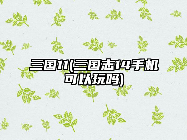 三国11(三国志14手机可以玩吗)