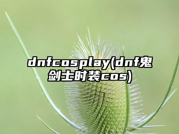 dnfcosplay(dnf鬼剑士时装cos)