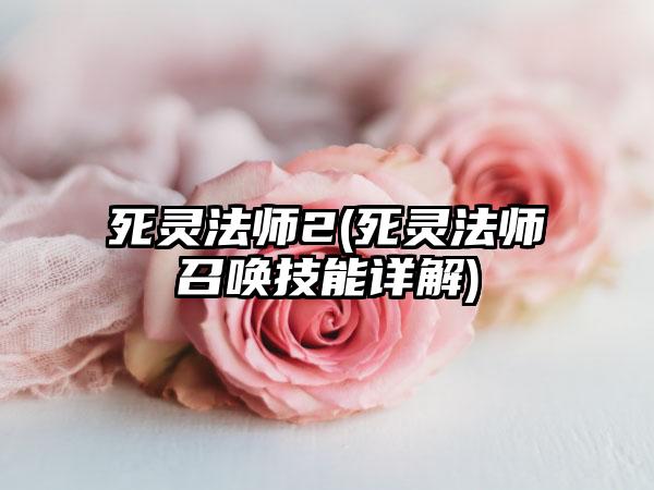 死灵法师2(死灵法师召唤技能详解)