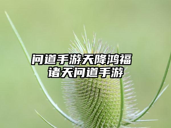问道手游天降鸿福 诸天问道手游